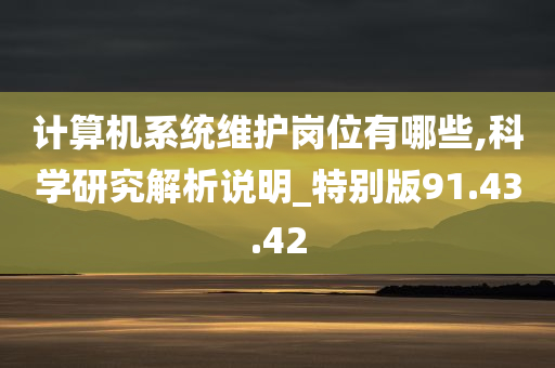 计算机系统维护岗位有哪些,科学研究解析说明_特别版91.43.42