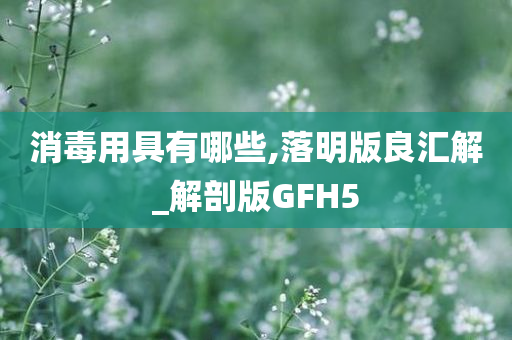 消毒用具有哪些,落明版良汇解_解剖版GFH5