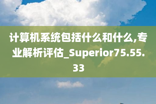 计算机系统包括什么和什么,专业解析评估_Superior75.55.33