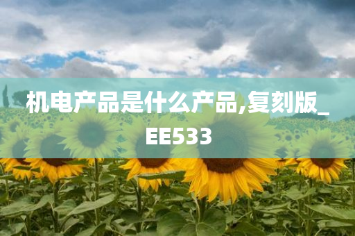 机电产品是什么产品,复刻版_EE533