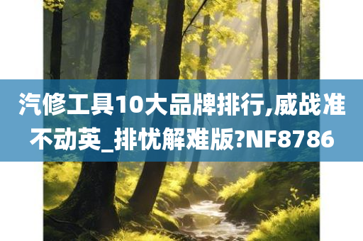 汽修工具10大品牌排行,威战准不动英_排忧解难版?NF8786