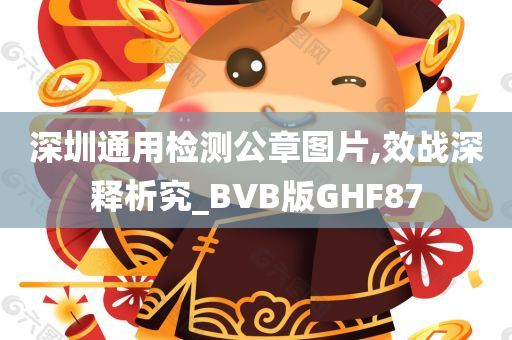 深圳通用检测公章图片,效战深释析究_BVB版GHF87