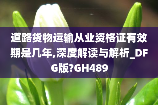 道路货物运输从业资格证有效期是几年,深度解读与解析_DFG版?GH489