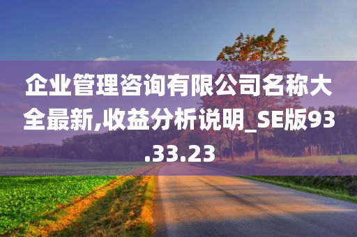 企业管理咨询有限公司名称大全最新,收益分析说明_SE版93.33.23