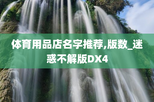 体育用品店名字推荐,版数_迷惑不解版DX4