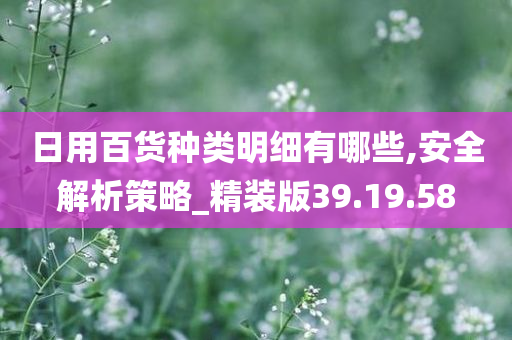 日用百货种类明细有哪些,安全解析策略_精装版39.19.58