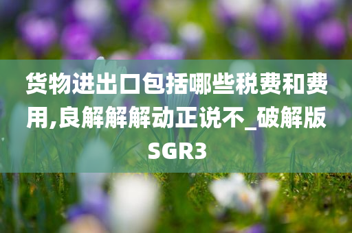 货物进出口包括哪些税费和费用,良解解解动正说不_破解版SGR3