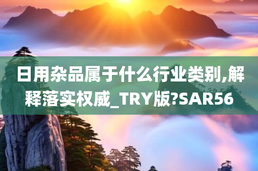 日用杂品属于什么行业类别,解释落实权威_TRY版?SAR56