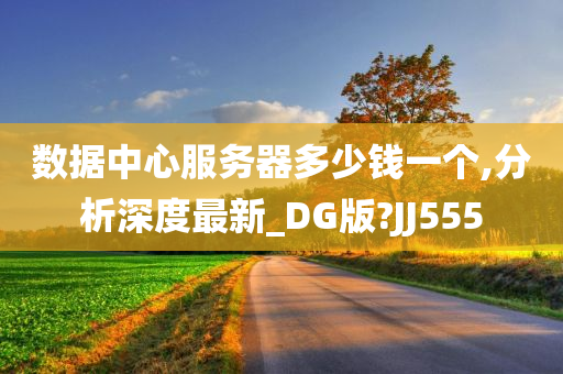 数据中心服务器多少钱一个,分析深度最新_DG版?JJ555