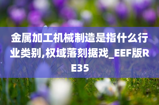 金属加工机械制造是指什么行业类别,权域落刻据戏_EEF版RE35