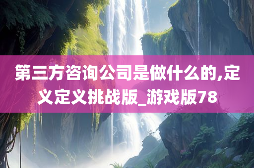 第三方咨询公司是做什么的,定义定义挑战版_游戏版78