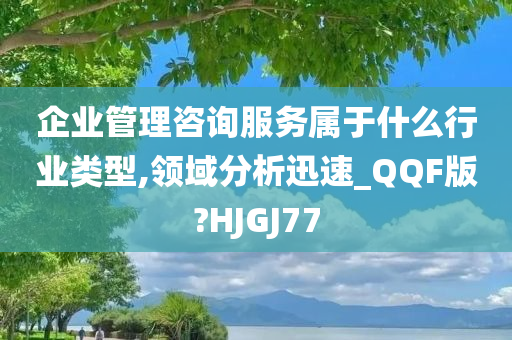 企业管理咨询服务属于什么行业类型,领域分析迅速_QQF版?HJGJ77