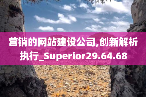 营销的网站建设公司,创新解析执行_Superior29.64.68