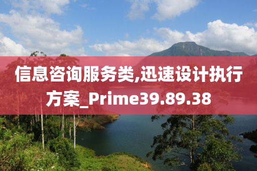 信息咨询服务类,迅速设计执行方案_Prime39.89.38