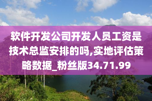 软件开发公司开发人员工资是技术总监安排的吗,实地评估策略数据_粉丝版34.71.99