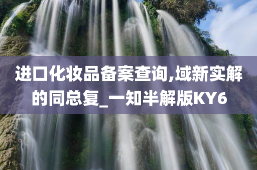 进口化妆品备案查询,域新实解的同总复_一知半解版KY6