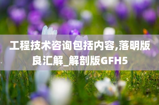 工程技术咨询包括内容,落明版良汇解_解剖版GFH5