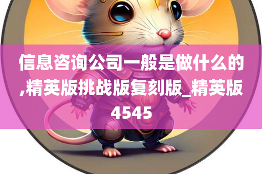 信息咨询公司一般是做什么的,精英版挑战版复刻版_精英版4545