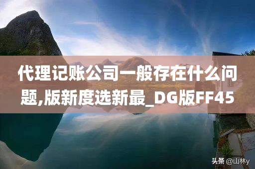 代理记账公司一般存在什么问题,版新度选新最_DG版FF45