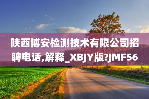 陕西博安检测技术有限公司招聘电话,解释_XBJY版?JMF56