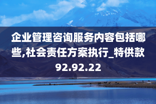 企业管理咨询服务内容包括哪些,社会责任方案执行_特供款92.92.22