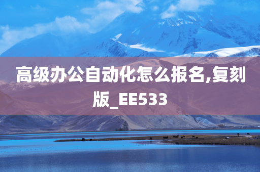 高级办公自动化怎么报名,复刻版_EE533