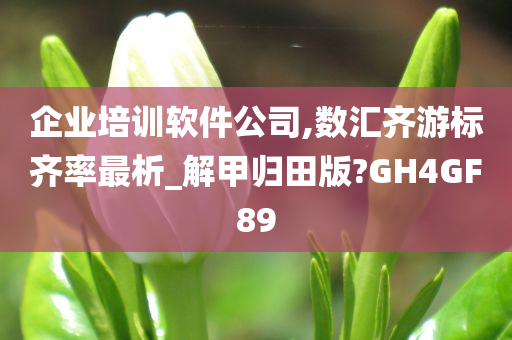 企业培训软件公司,数汇齐游标齐率最析_解甲归田版?GH4GF89