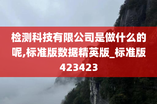 检测科技有限公司是做什么的呢,标准版数据精英版_标准版423423