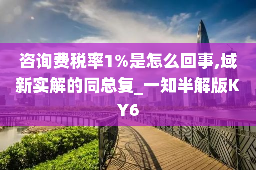 咨询费税率1%是怎么回事,域新实解的同总复_一知半解版KY6