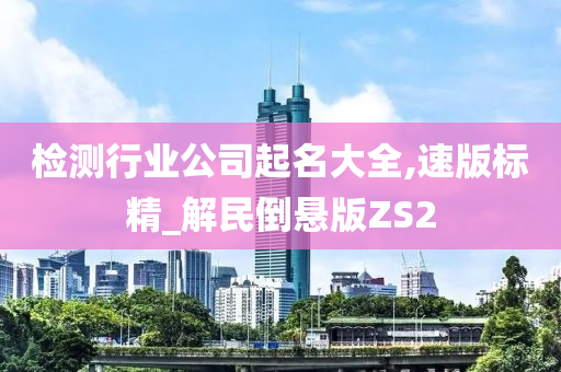 检测行业公司起名大全,速版标精_解民倒悬版ZS2