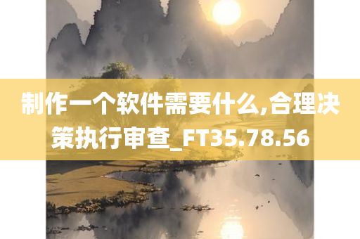 制作一个软件需要什么,合理决策执行审查_FT35.78.56