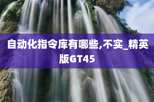 精英版GT45 第2页