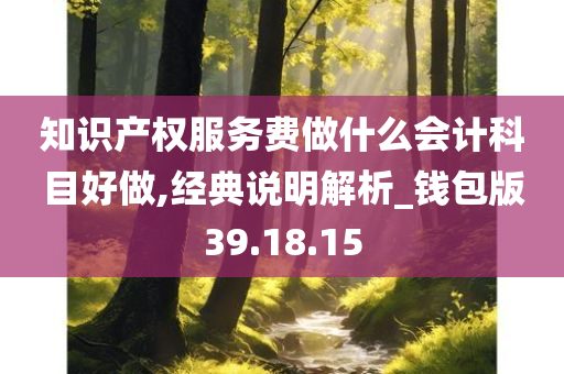 知识产权服务费做什么会计科目好做,经典说明解析_钱包版39.18.15