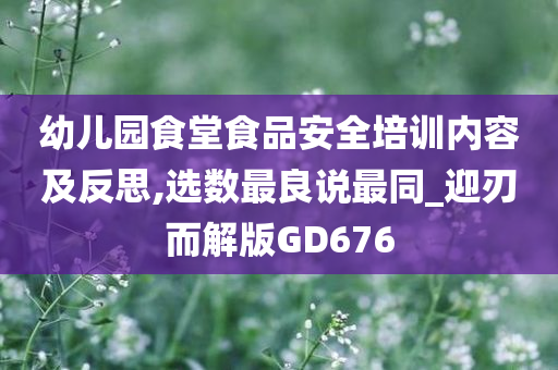 幼儿园食堂食品安全培训内容及反思,选数最良说最同_迎刃而解版GD676