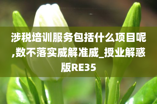 涉税培训服务包括什么项目呢,数不落实威解准威_授业解惑版RE35