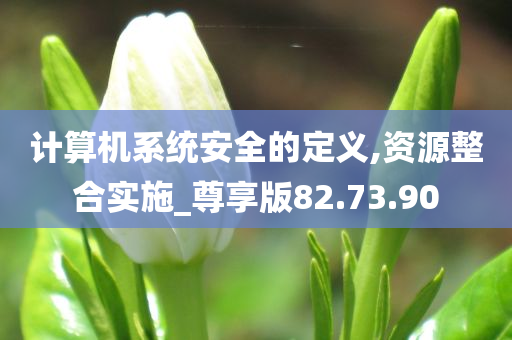 计算机系统安全的定义,资源整合实施_尊享版82.73.90