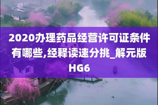 2020办理药品经营许可证条件有哪些,经释读速分挑_解元版HG6