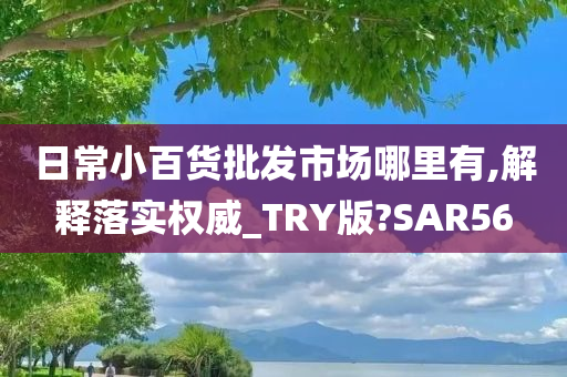 日常小百货批发市场哪里有,解释落实权威_TRY版?SAR56