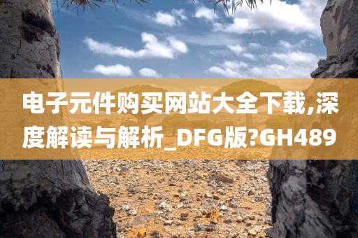 电子元件购买网站大全下载,深度解读与解析_DFG版?GH489