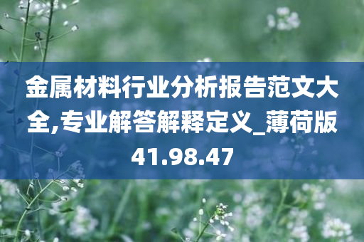 金属材料行业分析报告范文大全,专业解答解释定义_薄荷版41.98.47