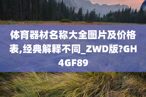 体育器材名称大全图片及价格表,经典解释不同_ZWD版?GH4GF89