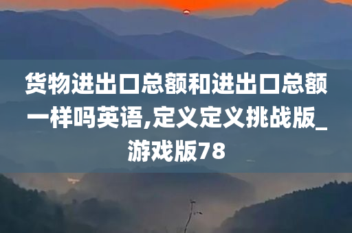 货物进出口总额和进出口总额一样吗英语,定义定义挑战版_游戏版78