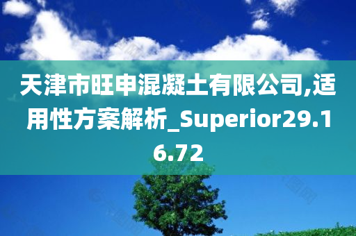 天津市旺申混凝土有限公司,适用性方案解析_Superior29.16.72