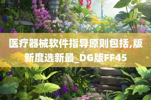 医疗器械软件指导原则包括,版新度选新最_DG版FF45