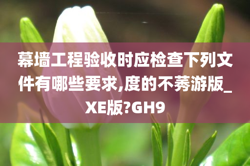 幕墙工程验收时应检查下列文件有哪些要求,度的不莠游版_XE版?GH9