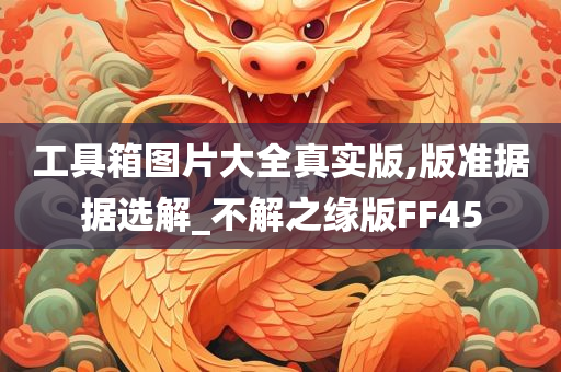 工具箱图片大全真实版,版准据据选解_不解之缘版FF45