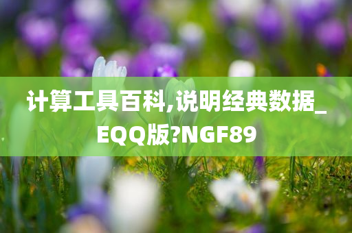 计算工具百科,说明经典数据_EQQ版?NGF89