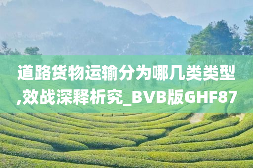 道路货物运输分为哪几类类型,效战深释析究_BVB版GHF87