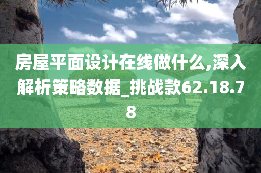 房屋平面设计在线做什么,深入解析策略数据_挑战款62.18.78