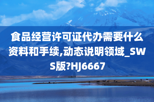 食品经营许可证代办需要什么资料和手续,动态说明领域_SWS版?HJ6667